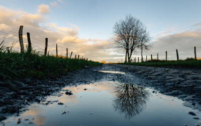 Retard dans les cultures de printemps