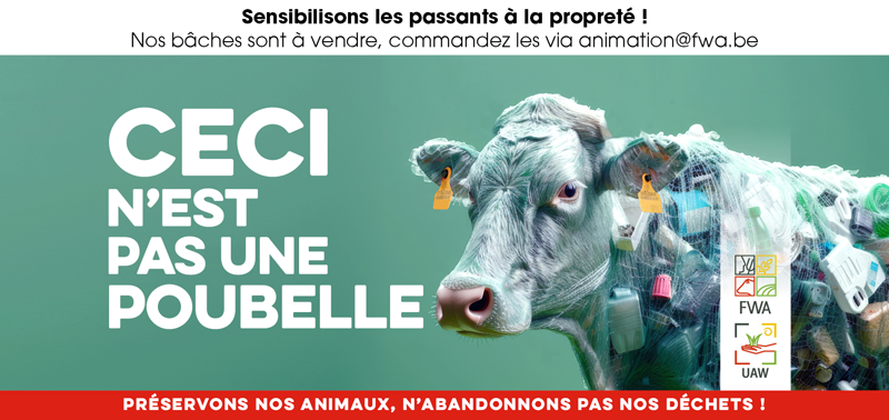 BLUEN - BEFR - Groenbe1035x140