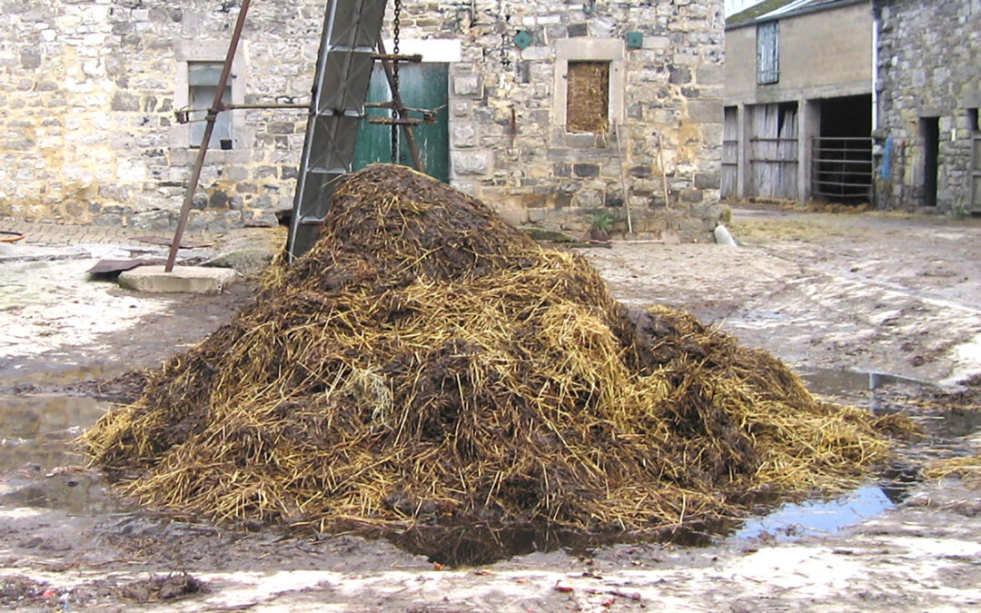 ACISEE, entre obligation et contrainte administrative