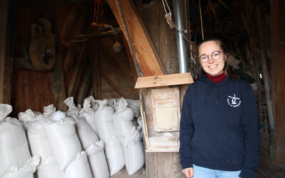 Le Colosse de Moulbaix