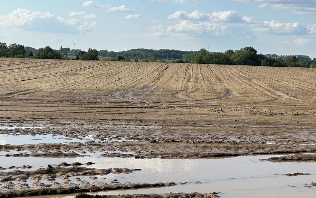 Mieux comprendre les calamités agricoles