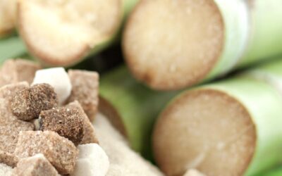 Candir du sucre de canne à Wanze?