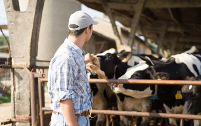 Goferme : définir son modèle économique