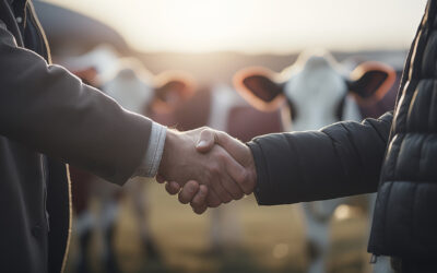 Le service de remplacement : faites place à l’agence « tous risques »