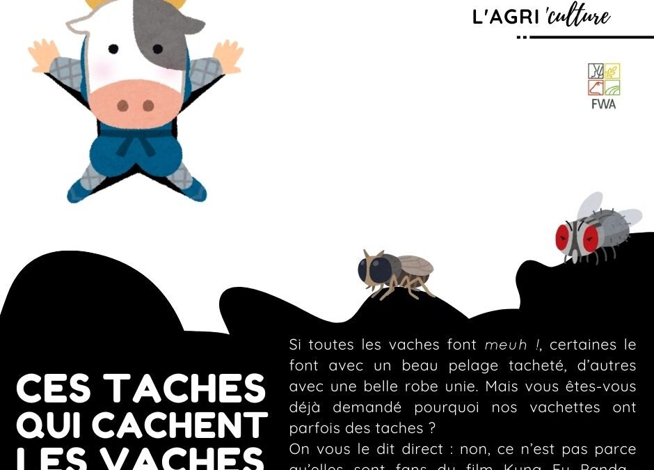 Ces taches qui cachent les vaches