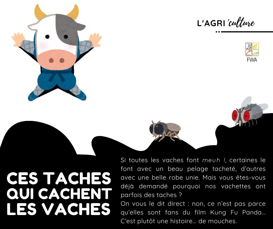 FWA408---Le-Berlaymont,-siège-de-la-Commission-européenne-à-Bruxelles-(Union-européenne-2024---Claudio-Centonze) Ces taches qui cachent les vaches