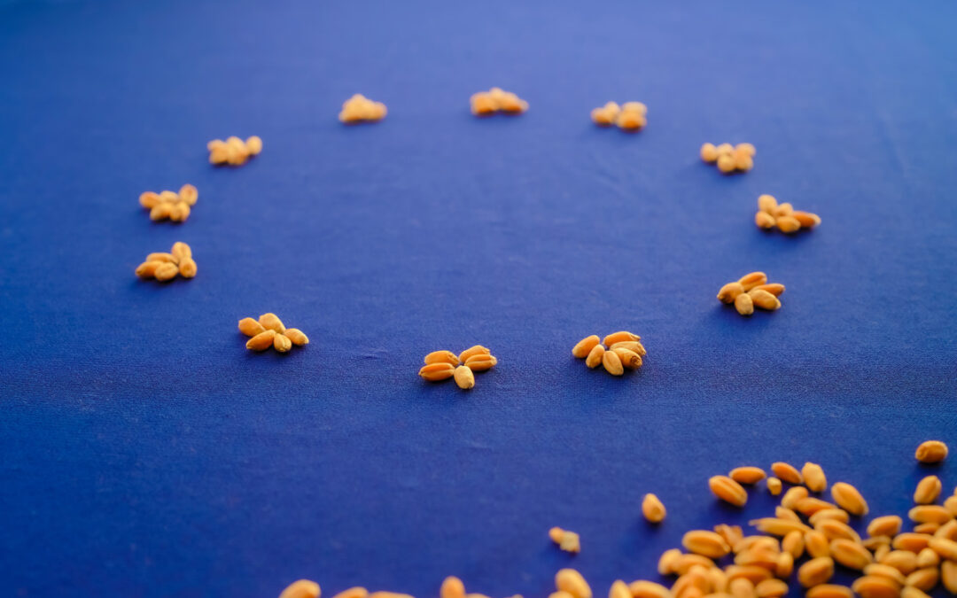 Premiers pas hésitants à la tête de l’UE