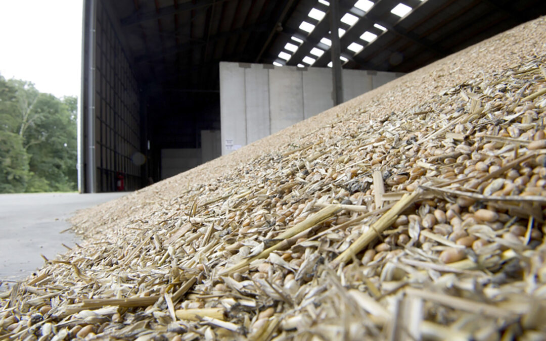 Attention à vos conditions de transport et de stockage des céréales!