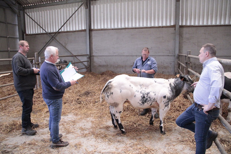 FWA475---Photo-3---Parallèlement,-les-jurés,-Xavier-Baudoin-et-Bernard-Lamblot,-examinent-et-cotent-l'animal-(©Pleinchamp) Une-élection