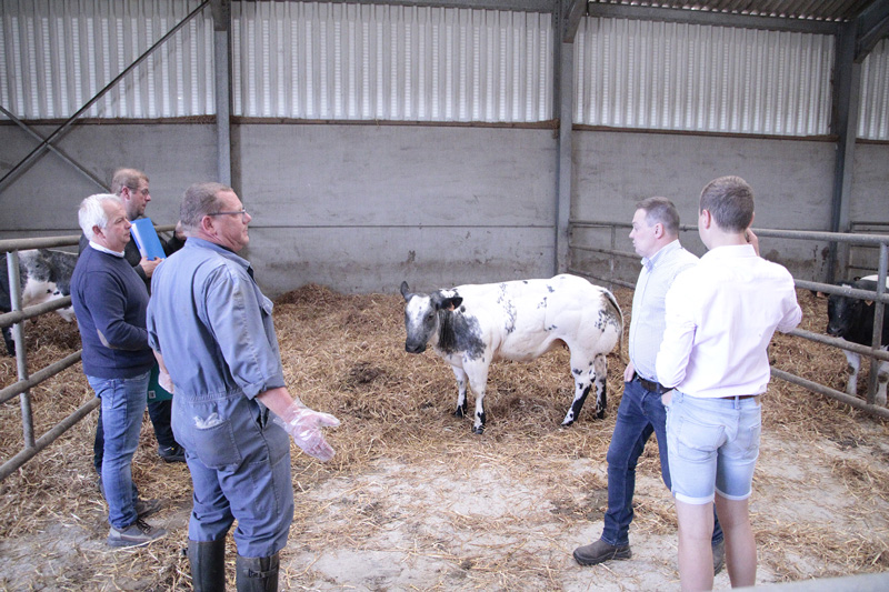 FWA475---Photo-4-Tandis-que-l'éleveur-leur-donne-un-maximum-d'informations-sur-la-bête-(©Pleinchamp) Une-élection