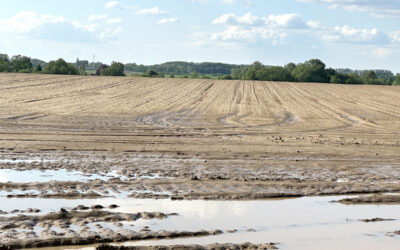 Orage du 12 mai: le verdict des commissions de constatation des dégâts