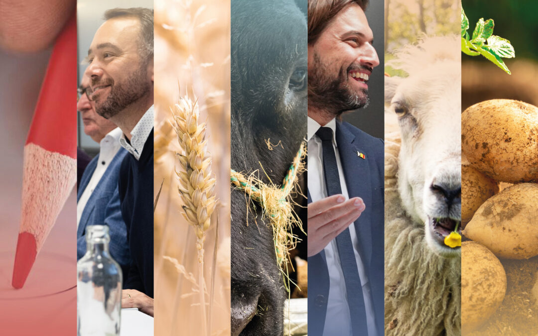 Région, Fédéral, Europe : Trois nuances de Tribord !