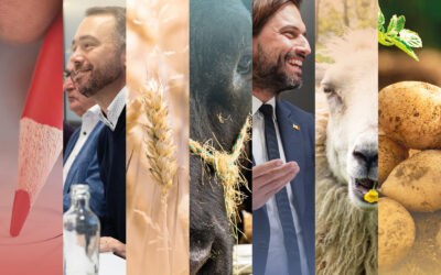 Région, Fédéral, Europe : Trois nuances de Tribord !