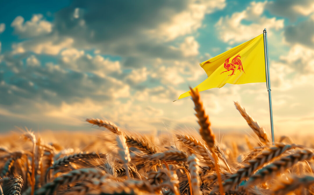 Région : vague bleue et turquoise & agriculture