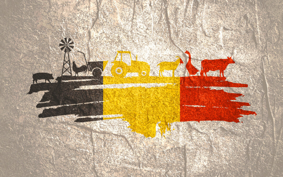 Au fédéral : Bart de Winnaar et la coalition Arizona?