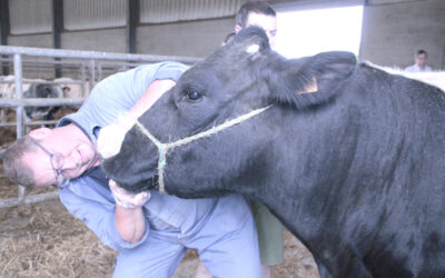 Le National de Libramont, c’est parti!