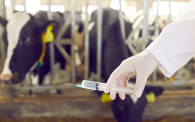 Le recours aux antibiotiques a diminué de 62% en 13 ans!