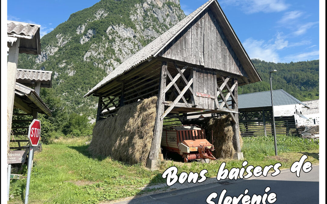 Bons baisers de Slovénie