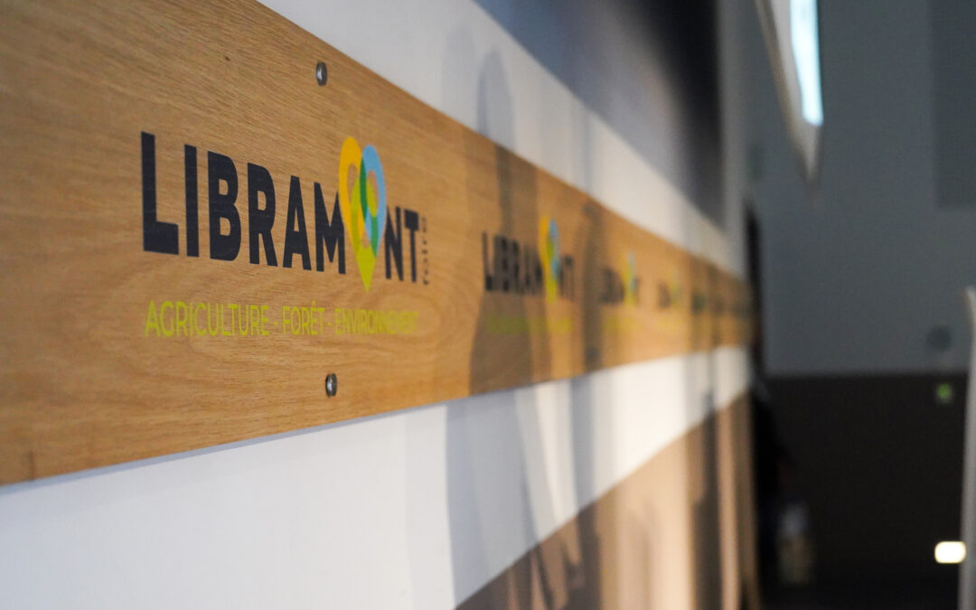 La 88e Foire de Libramont en photos