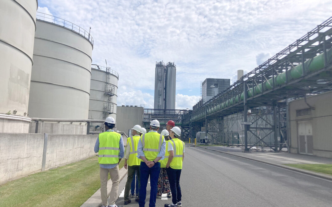 BioWanze: visite d’un écosystème