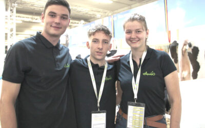 Les anges gardiens du bétail…