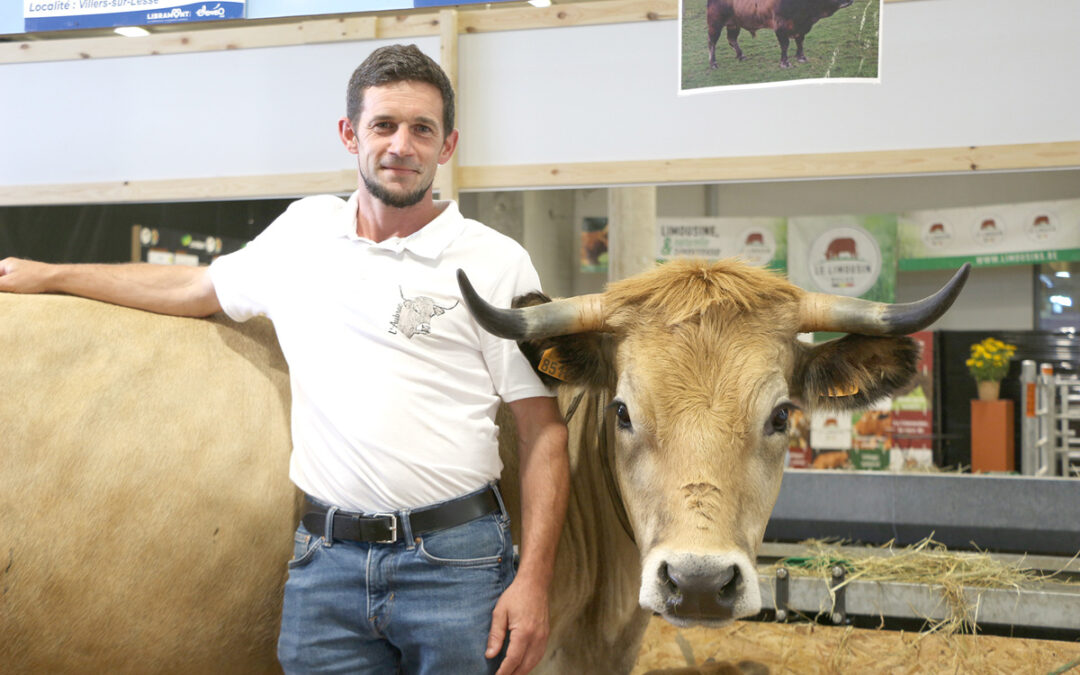 L’Aubrac fait sa grande entrée à la Foire