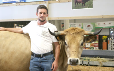 L’Aubrac fait sa grande entrée à la Foire