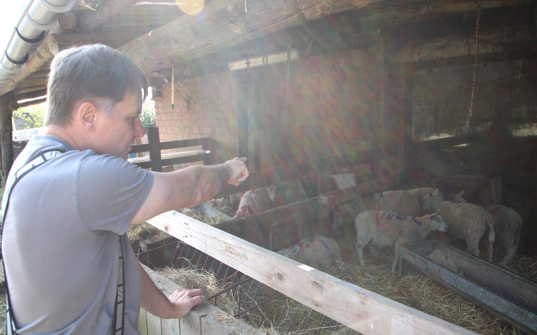 Qui va indemniser la perte de nos moutons et les soins de santé?