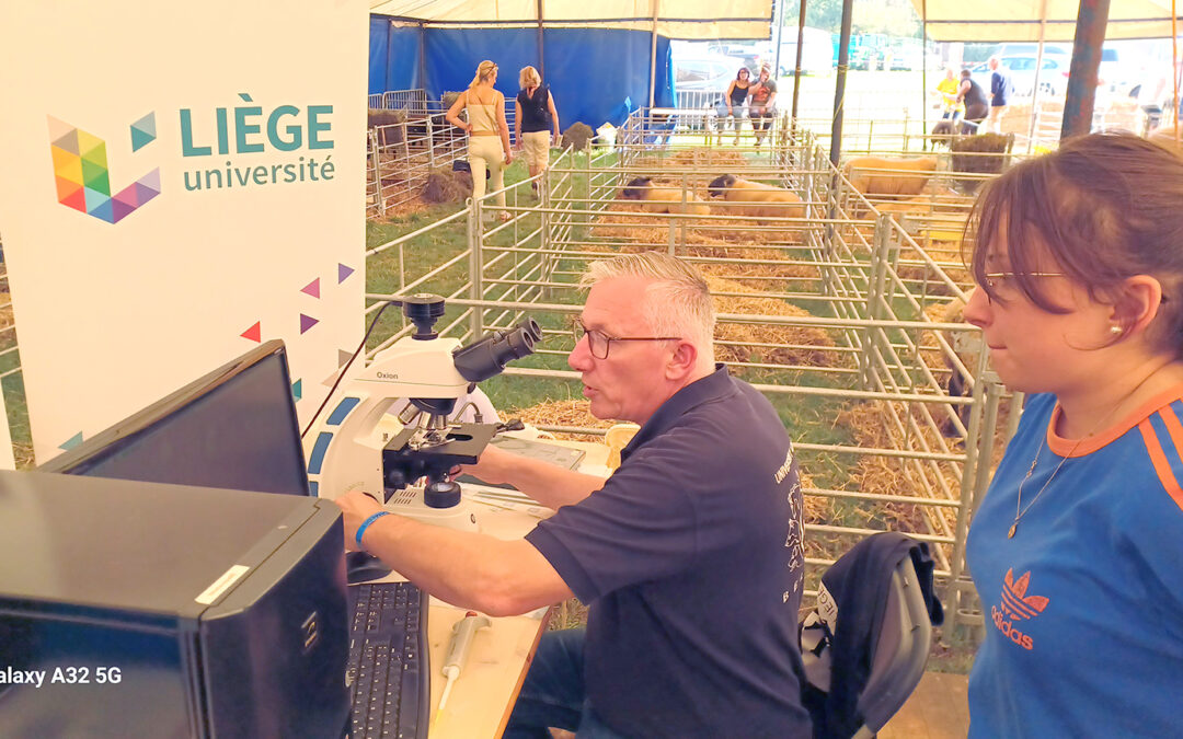 Seul 1 bélier sur 5 fertile à 100%!