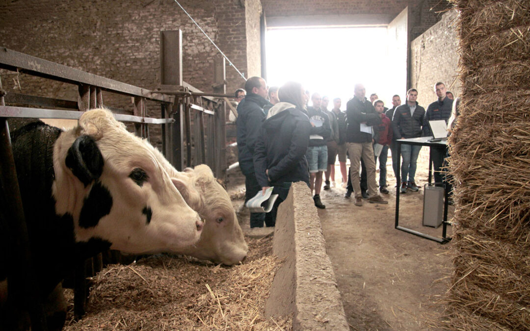 Une première édition des Beefdays très connectée