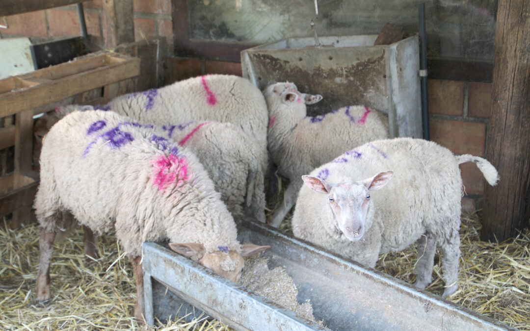 FCO-3 : «Tirer les leçons de cette crise »