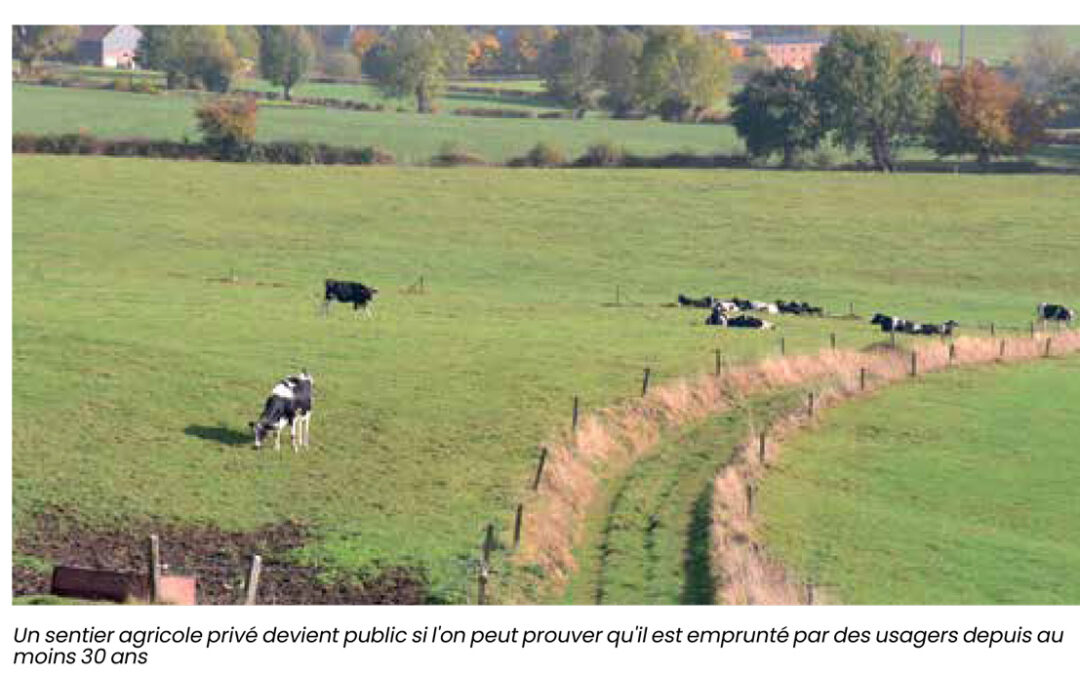 A Namur, à chacun sa campagne!