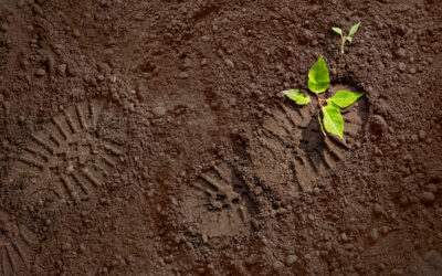 « Repartir d’un bon pied… »