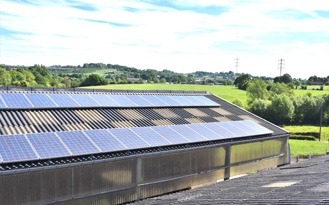 Agrivoltaïsme: la prudence de Sioux de la Ministre Dalcq
