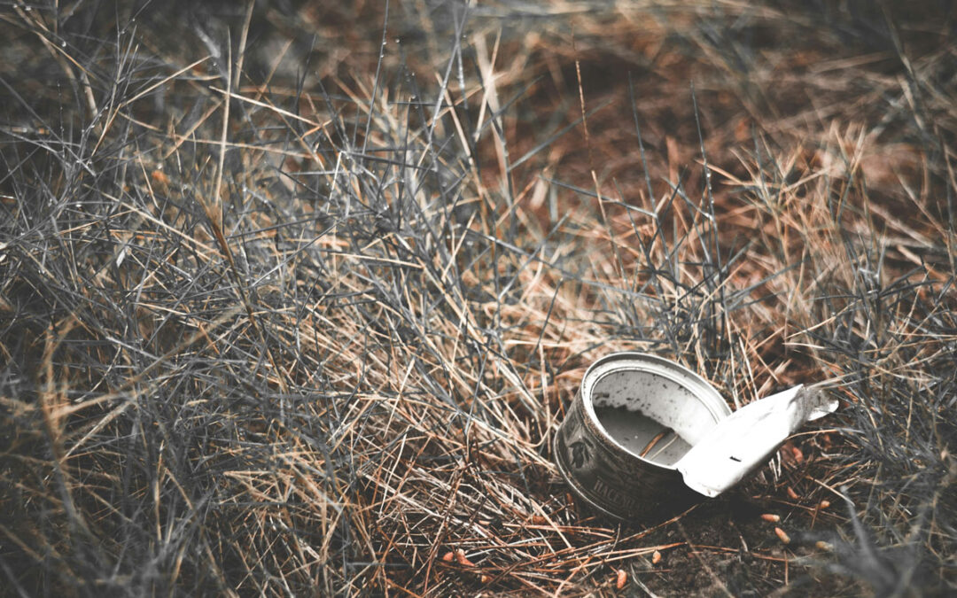 Le 4e Marathon de la Propreté a fait mouche partout en Wallonie