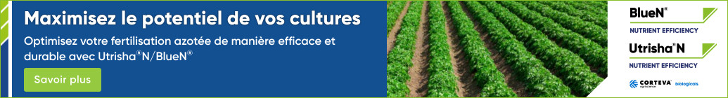 BlueN2024 BEFR_FWA_banners_970x250